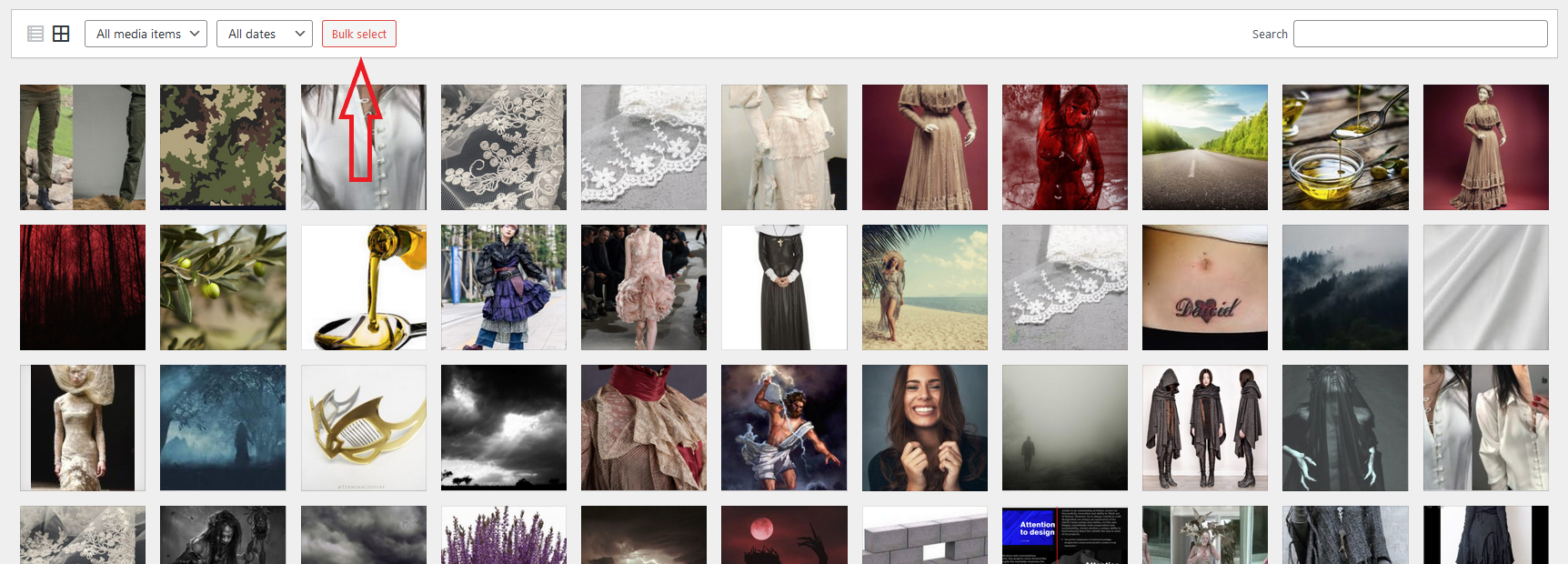 WordPress Media Library bulk select button for image restoration